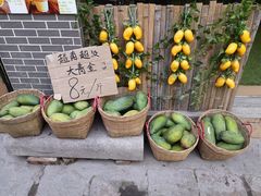 -黄埔古港