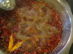 -金鼎雪山牦牛杂火锅(理县总店)