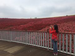 -天河潭旅游度假区