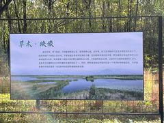 -野鸭湖国家湿地公园