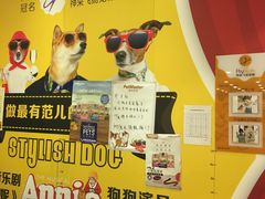 -神采飞扬宠物美容(香港路店)