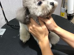 -宠颐生动物医院·小陆分院