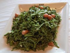 -京北渔家傲