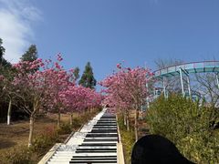 -盈香心动乐园