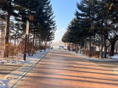 -长春市南湖公园