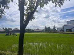 -乌村