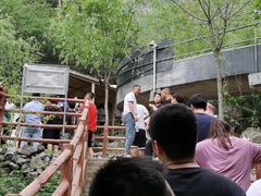 -野三坡清泉山风景区