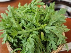-岳记兴隆·青城腊排铜火锅(融创店)