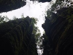 -梭布垭石林景区