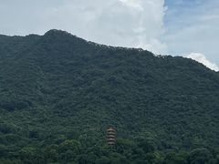 -深圳仙湖植物园