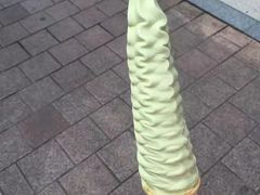 -乐天免税店(明洞店)