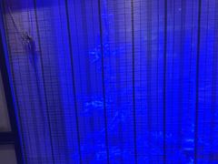 -营信刘罗锅铁锅炖(建华店)