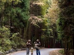 -山王坪喀斯特国家生态公园