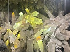 -湖南省地质博物馆