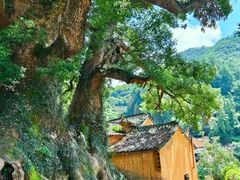 -杨家堂村