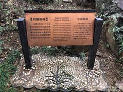 -香雪海