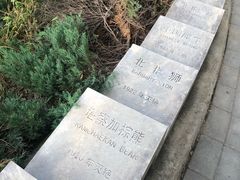 -北京麋鹿生态实验中心