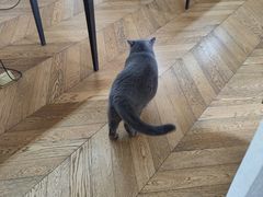 -Me Coffee下午茶艺术空间