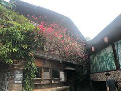 -观澜山水田园