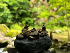-茅兰沟国家森林公园