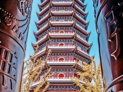 -阳澄湖半岛旅游度假区