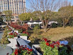 -昆山城市生态森林公园