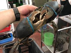-無招牌海鮮(芽笼店)