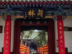 -关林