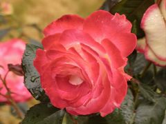 -人民公园(罗湖区)