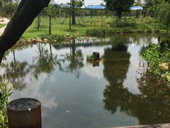 -海珠儿童公园