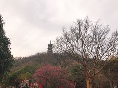 -焦山景区-万佛塔