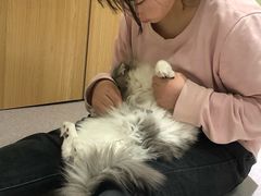 -猫和宫(六道口店)