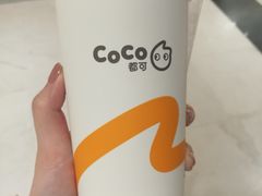 -CoCo都可(安河桥华联店)