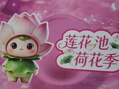-莲花池公园