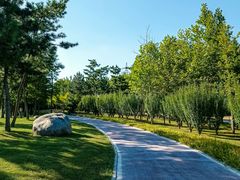 -羊亭河湿地公园