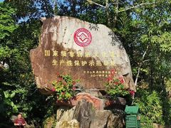 -海南槟榔谷黎苗文化旅游区