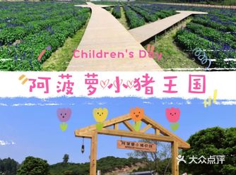 生活圈内的阿菠萝小猪农场