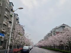 -永乐路-路侧停车场