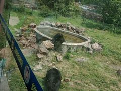 -无锡动物园·太湖欢乐园