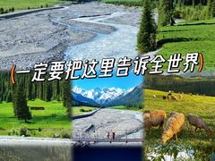 -伊犁河风景区