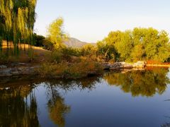 -北京西山国家森林公园
