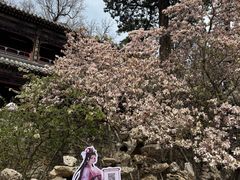 -潭柘寺景区