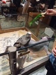 -造物庄园 萌宠纪(苏州湾歌林公园店)