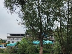 -三岔湖高家庄农家乐烤全羊柴火鸡翘壳鱼(三岔湖店)