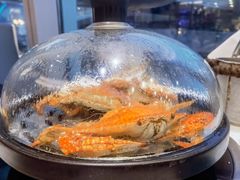 -半岛听涛蒸汽海鲜自助(K11店)