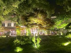 -普陀山雷迪森庄园