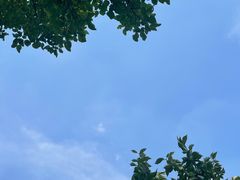 -塘沽森林公园