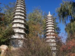 -沈阳植物园