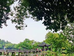 -西湖外事游船(花港观鱼码头)