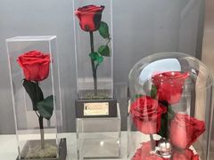-ROSEONLY诺誓(广州K11店)